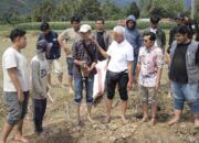 Palabek Berdayakan Petani, Regenerasi Pertanian Menguat