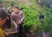 Ngarai Sianok Ungkap Temuan Jasad Bayi Terpotong