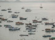 27 Kapal Pesiar Berlabuh, Imigrasi Awasi Labuan Bajo