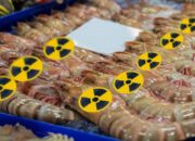 Udang Radioaktif Resahkan Pasar, AS Pertimbangkan Pembatasan Impor