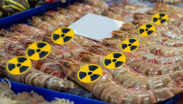 Udang Radioaktif Resahkan Pasar, AS Pertimbangkan Pembatasan Impor