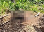 Identifikasi Mayat Membusuk Gegerkan Area PT PMJ