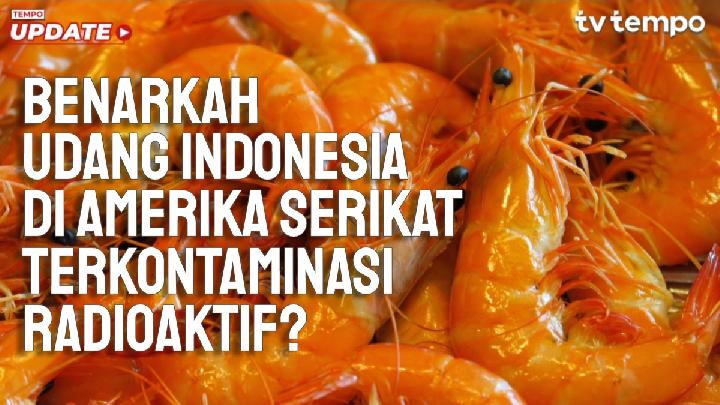 nilai-ekspor-udang-ditargetkan-naik-jadi-usd-1,5-miliar-usai-isu-cesium-137