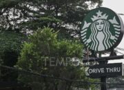 Starbucks Indonesia Merugi, Catatkan Defisit Ratusan Miliar Rupiah