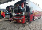 Palala Turunkan Harga Tiket Bus Akhir Tahun
