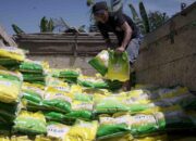 Mendongkrak Produksi Beras, Indonesia Akhiri Impor?