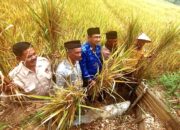 Agam Panen Raya Padi Organik, Petani Tersenyum