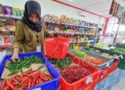 Bank Tanah Hibahkan Lahan ke Kopdes Merah Putih