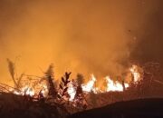 Kebakaran Lahan Ancam Kawasan Wisata Mandeh, Pesisir Selatan