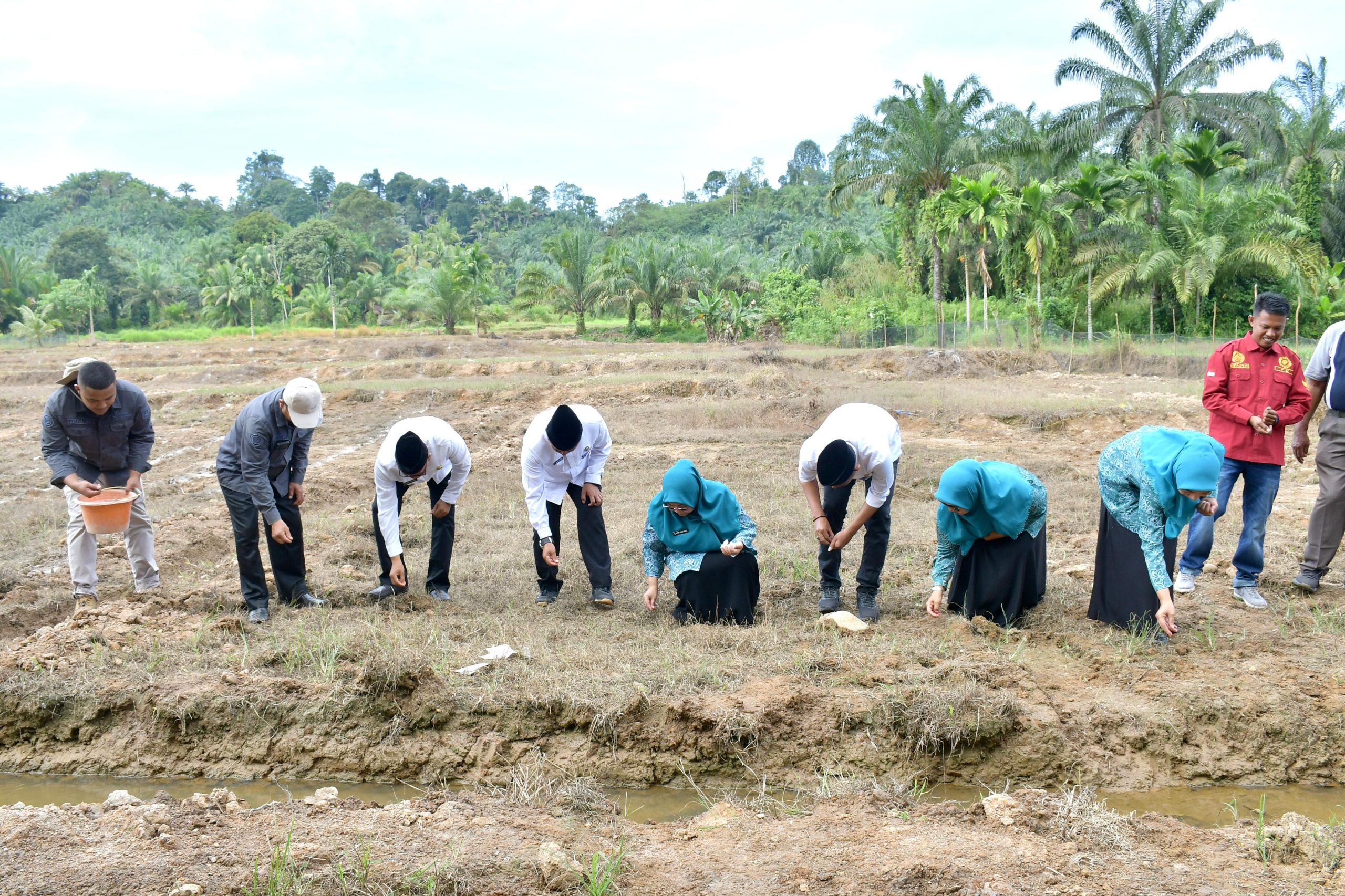 bupati-agam-hadiri-lauching-penanaman-jagung-program-bumnag-lubas-mandiri