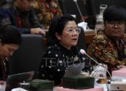 Ahli Gizi Bandingkan Dapur MBG dengan Pasar Subuh