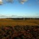 pembangkit-listrik-tenaga-bayu-200-mw-di-banyuwangi-ditargetkan-beroperasi-2028