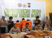 Tanah Datar: Polisi Tangkap Tiga Tersangka, Sita Ganja