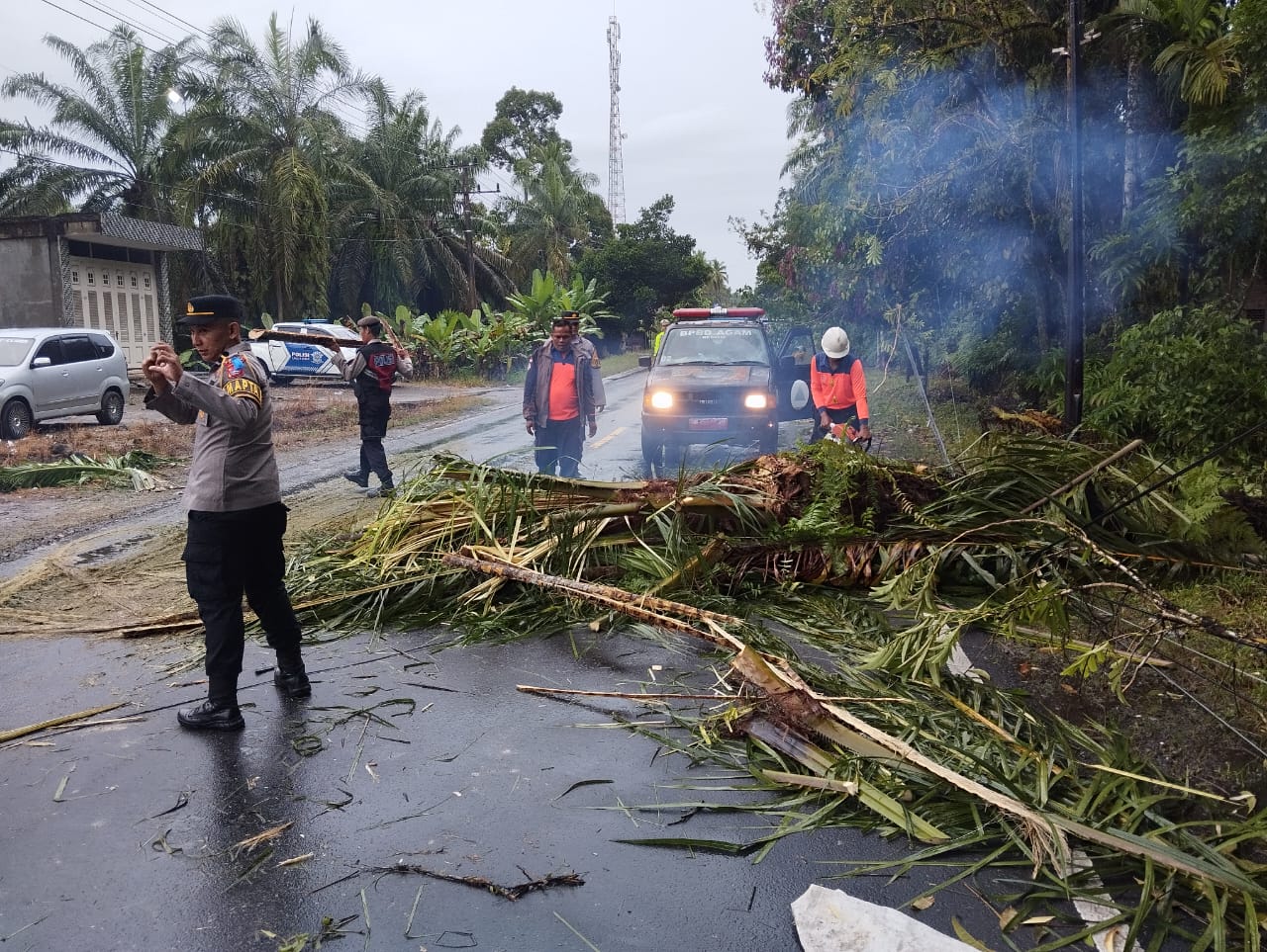 pohon-tumbang-picu-kecelakaan-maut-di-agam,-bpbd-kebut-pembersihan