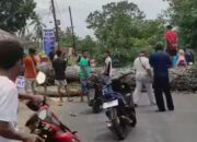 Angin Kencang Tumbangkan Pohon, Tanah Datar Tingkatkan Kewaspadaan