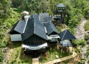 Tambang Ancam Habitat Primata, Populasi Terus Menyusut