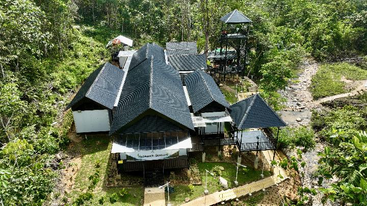 ketika-primata-berdampingan-dengan-tambang