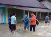 Banjir Rendam Padang Pariaman, Ribuan Warga Mengungsi