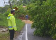 Longsor Palupuah: Tim SAR Terus Mencari Korban Tertimbun