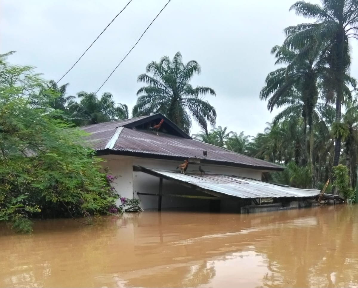 banjir-memburuk-di-agam,-50-kk-terisolir