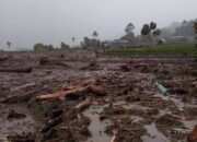 Galodo Landa Malalak, Ratusan Warga Agam Mengungsi
Galodo Landa Malalak, Agam Evakuasi Ratusan Warga