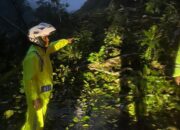 Longsor Lembah Anai Lumpuhkan Akses Padang-Bukittinggi