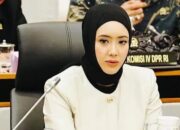 Cindy Monica Minta Pemerintah Tetapkan Bencana Nasional