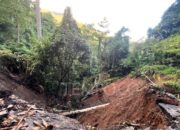KLHK Periksa Delapan Perusahaan Diduga Picu Banjir