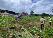 PN Payakumbuh Eksekusi Lahan Sengketa di Mungo