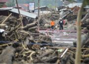 negara-harus-hadir-di-setiap-batang-pohon-yang-tumbang