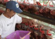 BPOM Mendorong Industri Manfaatkan Bahan Baku Lokal