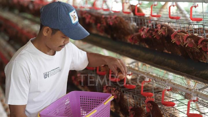 bpom-dorong-penggunaan-bahan-baku-lokal-untuk-mbg