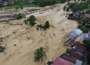 Pemerintah Pulihkan Lahan Pertanian Sumatera Pascabanjir Bandang