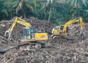 Bank Dunia Pantau Dampak Banjir Sumatera ke Ekonomi