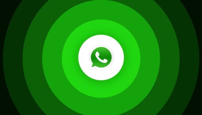 WhatsApp rilis fitur liburan, rekam pesan dan animasikan foto