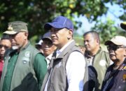 Pulihkan Pantai Morgan, Pemprov Sumbar Gandeng Kemenhut Bersihkan Puing