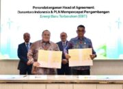 PLN Gandeng Danantara Genjot Investasi Energi Terbarukan