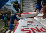 Stop Impor Gula 2026, Harga Gula Siap Melonjak?