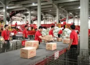 J&T Express Catat Lonjakan Pengiriman 60% di Kuartal III 2025