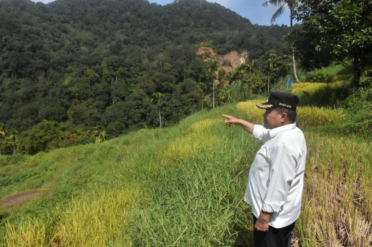 bupati-agam-tinjau-sumber-banjir-bandang-batang-aia-muaro-pisang-di-kelok-28