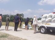 Bulog Amankan Pasokan Beras Jateng Hingga Lebaran 2026