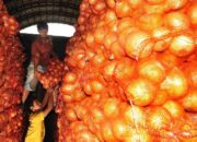 Tim Gabungan Sita Ratusan Ton Bawang Ilegal Semarang