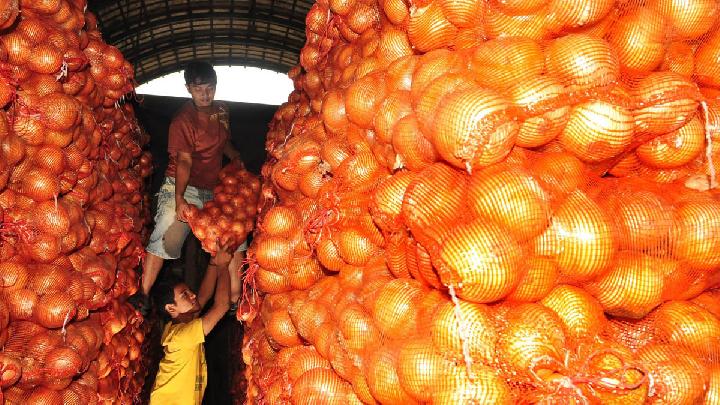 133-ton-bawang-bombay-selundupan-digagalkan-masuk-semarang