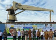 Indonesia Ekspor Jagung, Surplus Produksi Jadi Pendorong