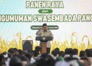 Definisi Swasembada Pangan Mendesak, Pemerintah Diminta Segera Bertindak