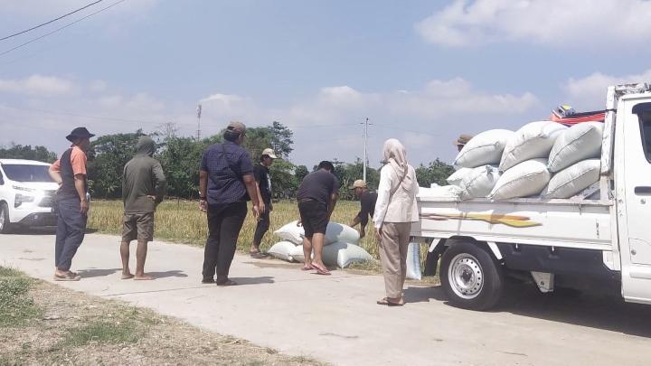 pengadaan-cadangan-beras-4-juta-ton-jadi-prioritas-bulog