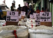 Harga Beras Stabil? Petani dan Pedagang Menanti Kebijakan