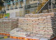Bulog Kelola Margin Fee, Jaga Harga Beras Nasional