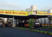 BPOM Perintahkan Nestle Hentikan Peredaran Susu Formula Impor