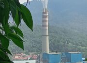 Sijantang Jaga Pasokan Listrik Sumatera, Biomassa Mulai Diterapkan